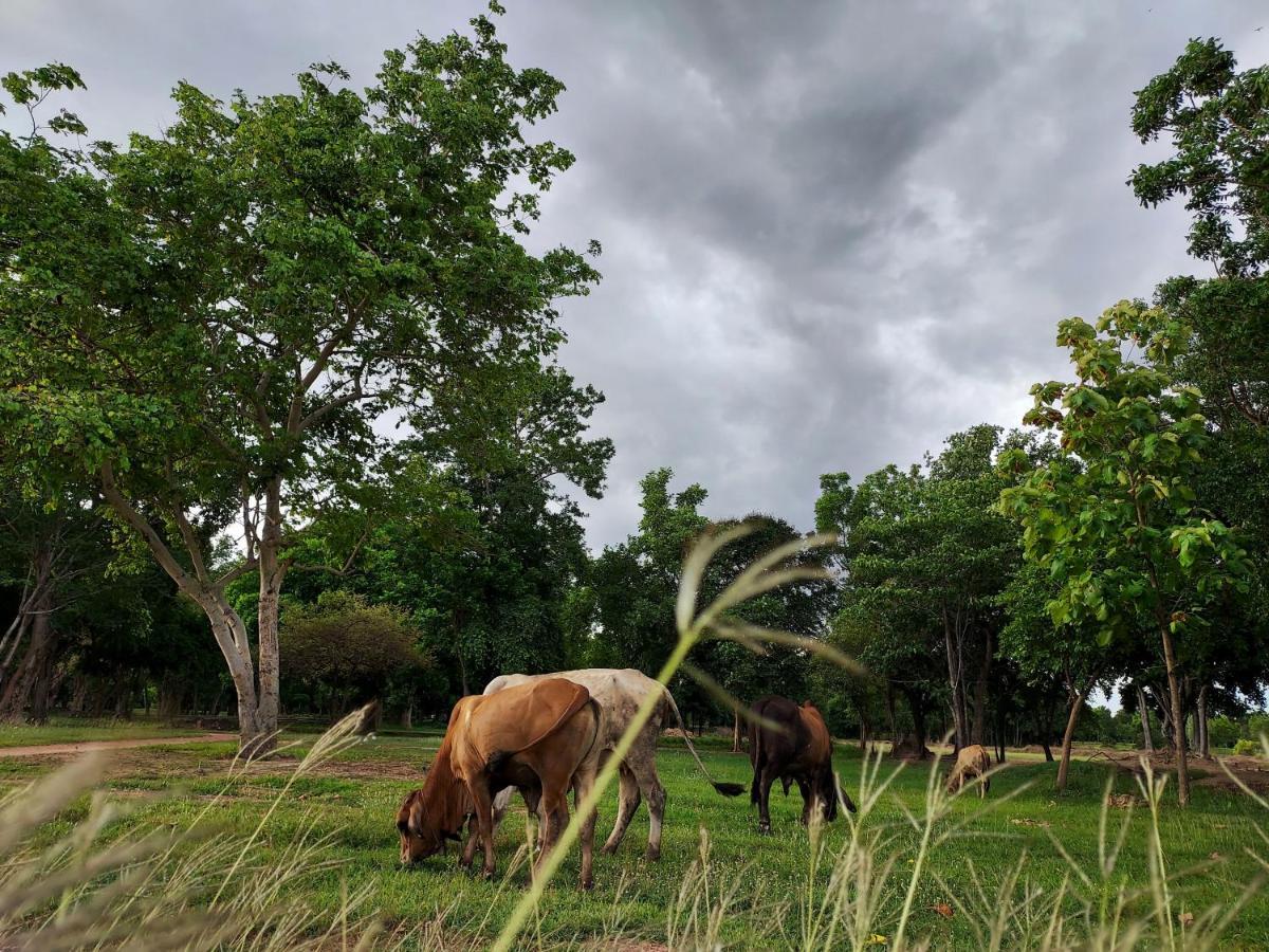 Naracha Resort Mueang Kao Exteriör bild