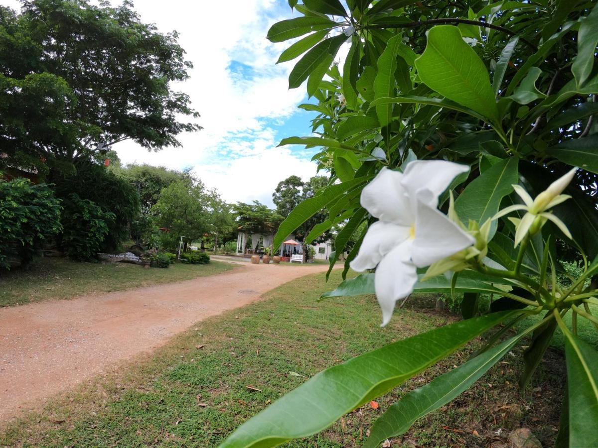 Naracha Resort Mueang Kao Exteriör bild