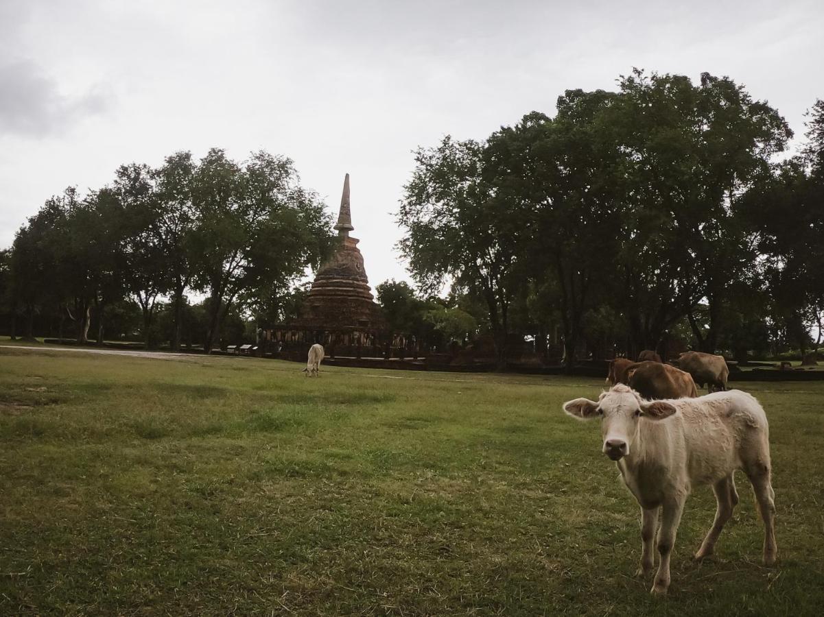 Naracha Resort Mueang Kao Exteriör bild