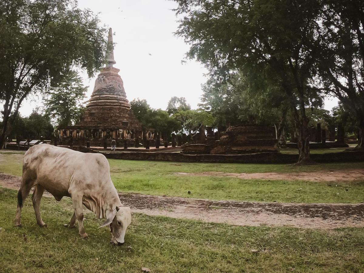 Naracha Resort Mueang Kao Exteriör bild